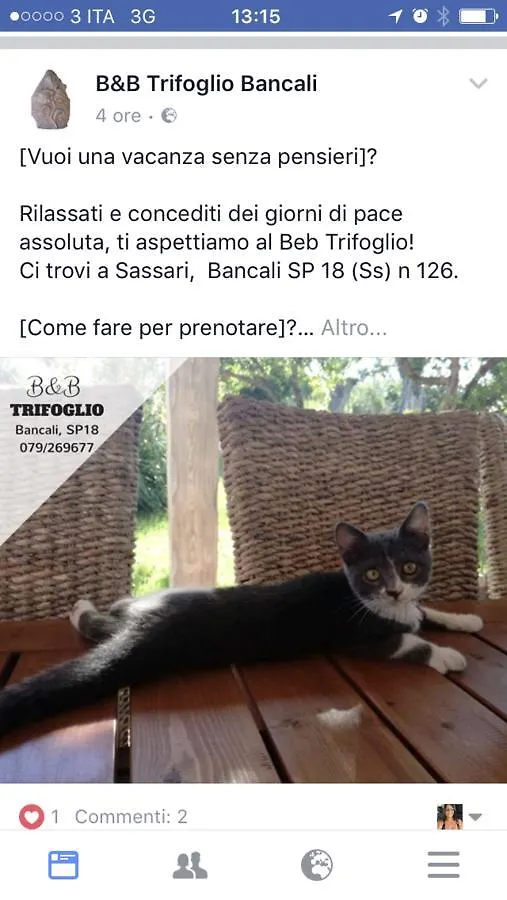 Bed & Breakfast B&B Trifoglio Bancali Sassari