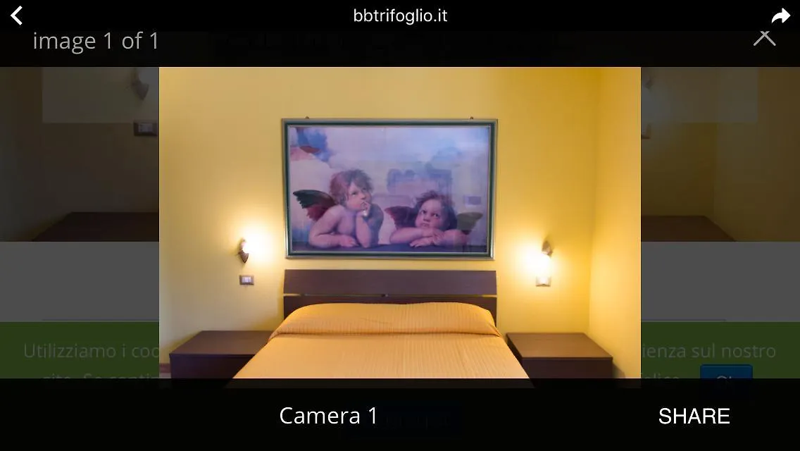 B&B Trifoglio Bancali Sassari Italia